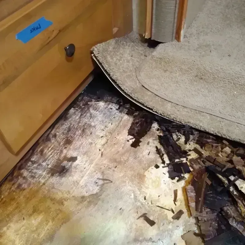 Best Wood Floor Water Damage Service in Central Garage, VA